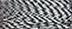 79000 Zebra Tweed